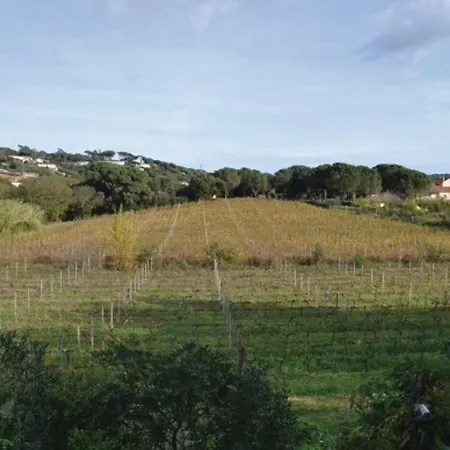 Villa Chemin Des Virgiles
