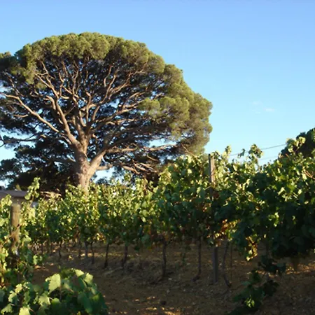 Chemin Des Virgiles Villa Sainte-Maxime