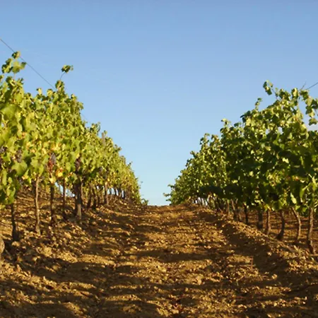Chemin Des Virgiles Villa *